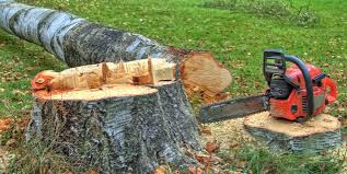 Best Aeration Services  in Forest Glen, MD