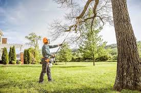 Seasonal Cleanup (Spring/Fall) in Forest Glen, MD